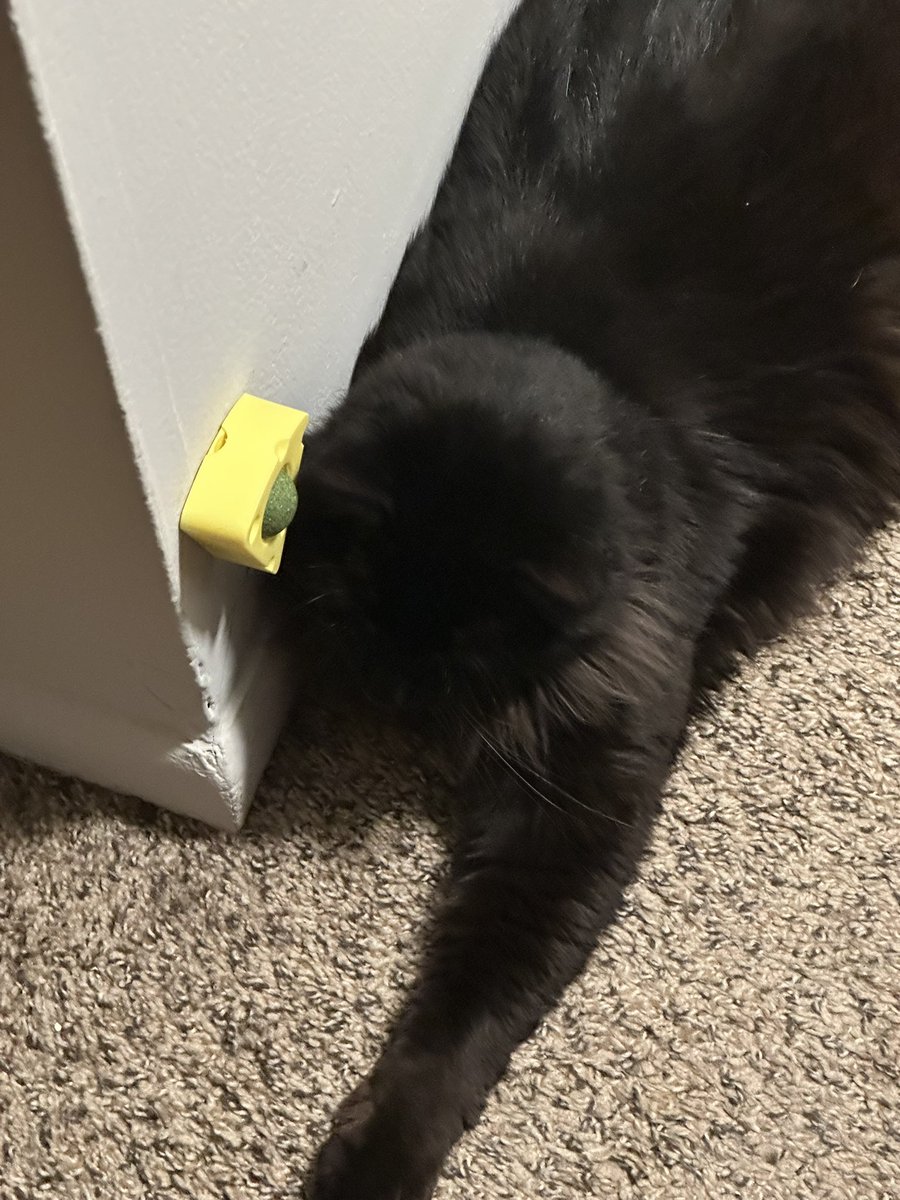 Next to his weed ball. Of course