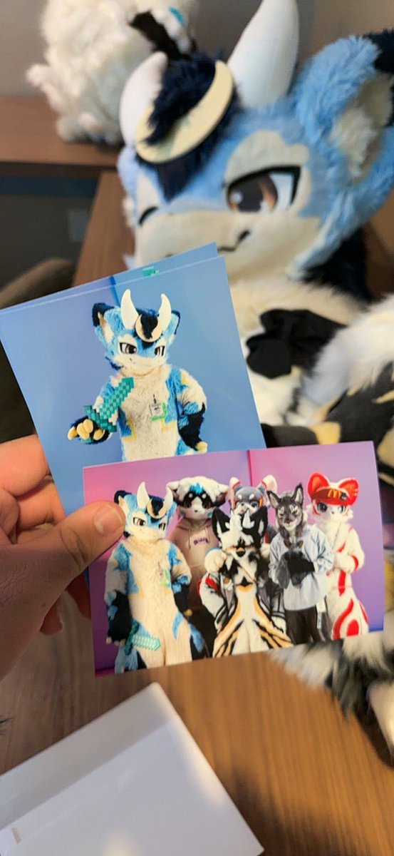 清风🔜🇨🇦 tweet media