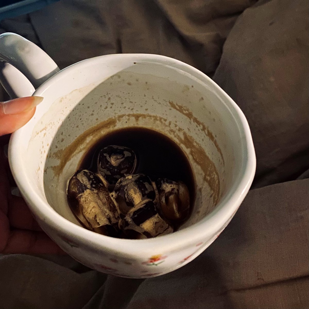 مضى شِراعي بمَا لا تشتهي ريحي
وفاتني الفجرُ إذ طالت تراويحي
مُزمّلٌ في ثِياب النورِ مُنتبذٌ 
تِلقاء مكه أتلو آيه الرُّوحِ