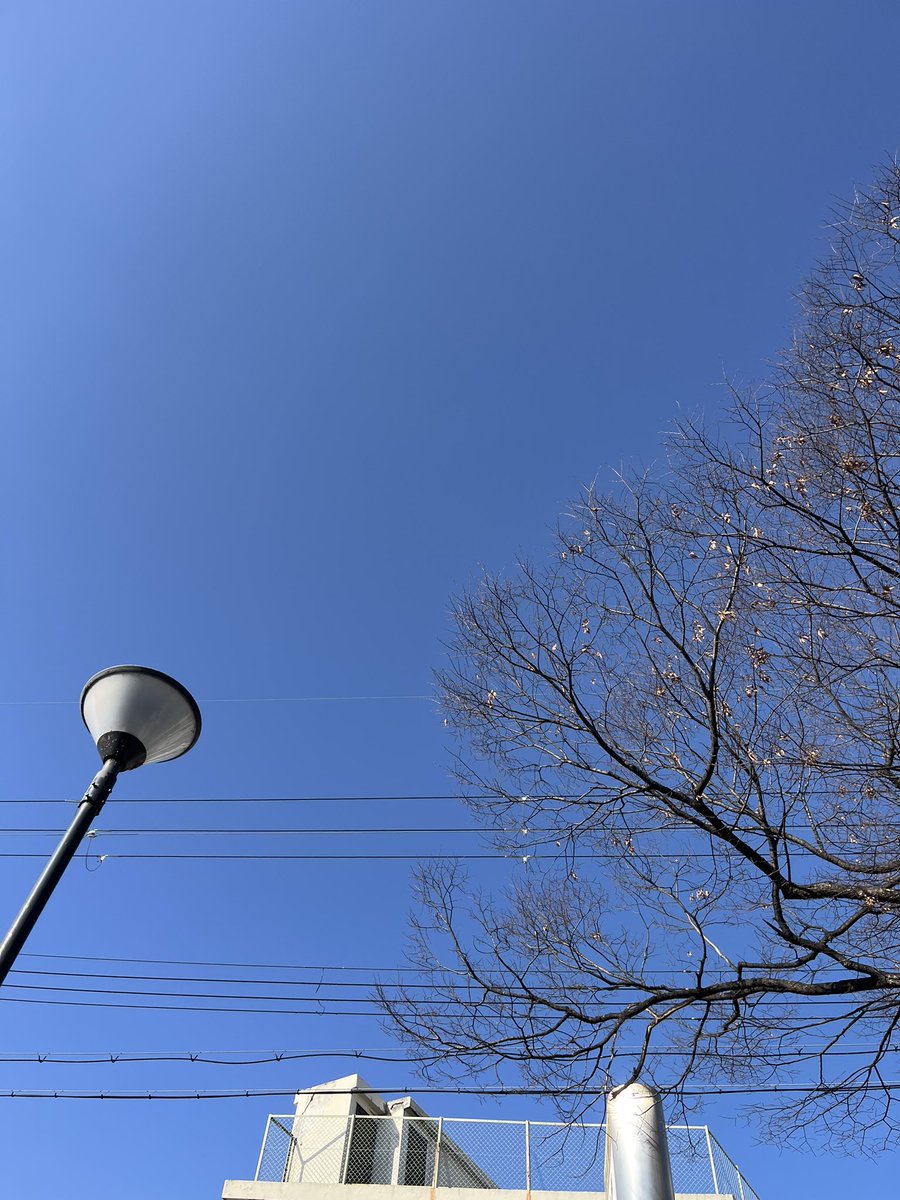 BebeSwallowtail's tweet image. ひょんなことから
連絡のやりとりをしたご年配の方から、
代理でとお孫さんともやりとりをするという出来事がありまして、

なんかあたたかいな〜。と
ほっこりするのでした。☺️☺️