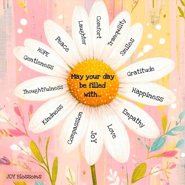 Alma Phillips (@almaphillips) on Twitter photo 