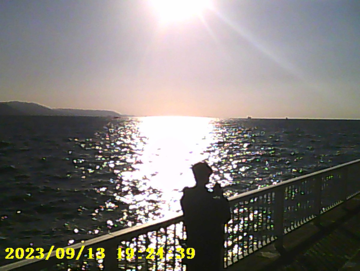 친구가 레트로 카메라 빌려줬는데 날짜 때문에 망했음