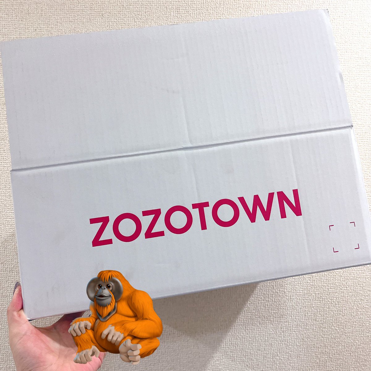 年末年始なんやかんやで捨てた分くらい買ってしまった気がする