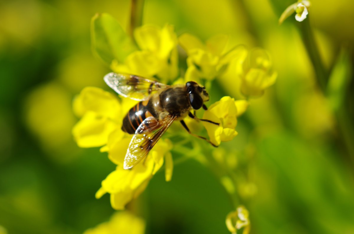 m32camera's tweet image. 