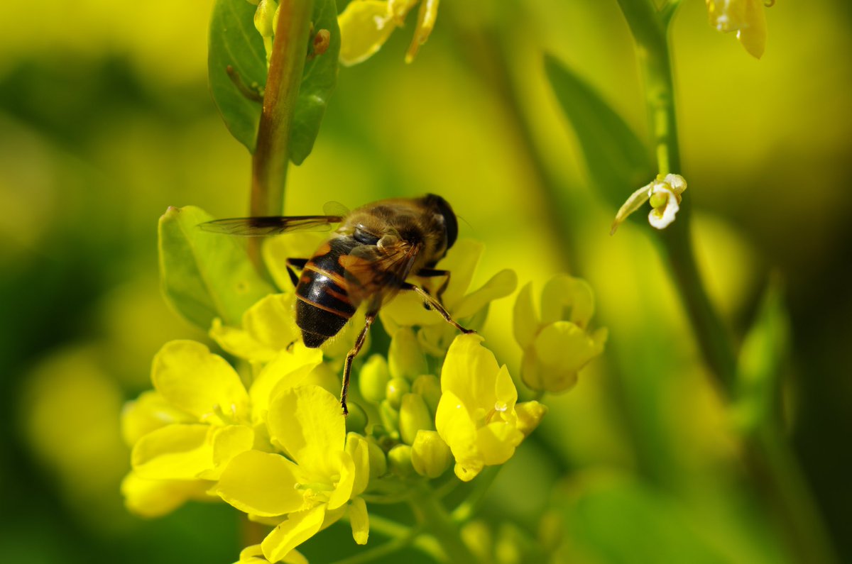 m32camera's tweet image. 