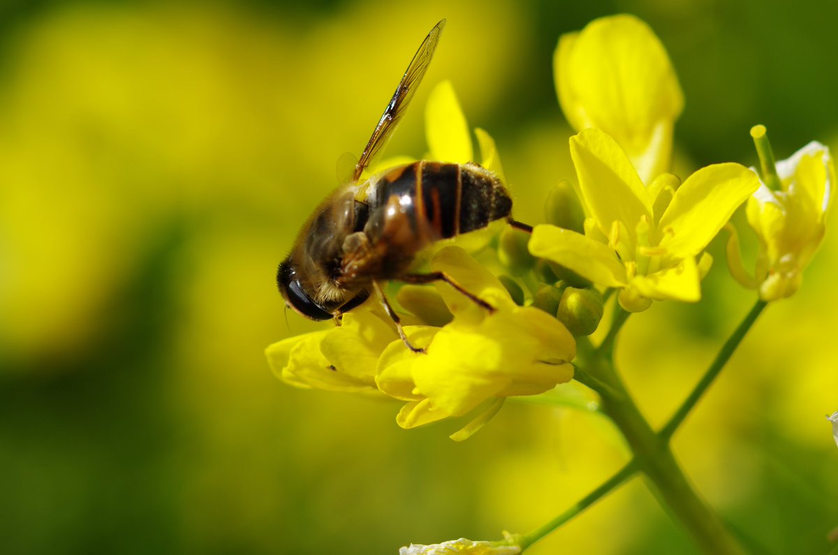 m32camera's tweet image. 