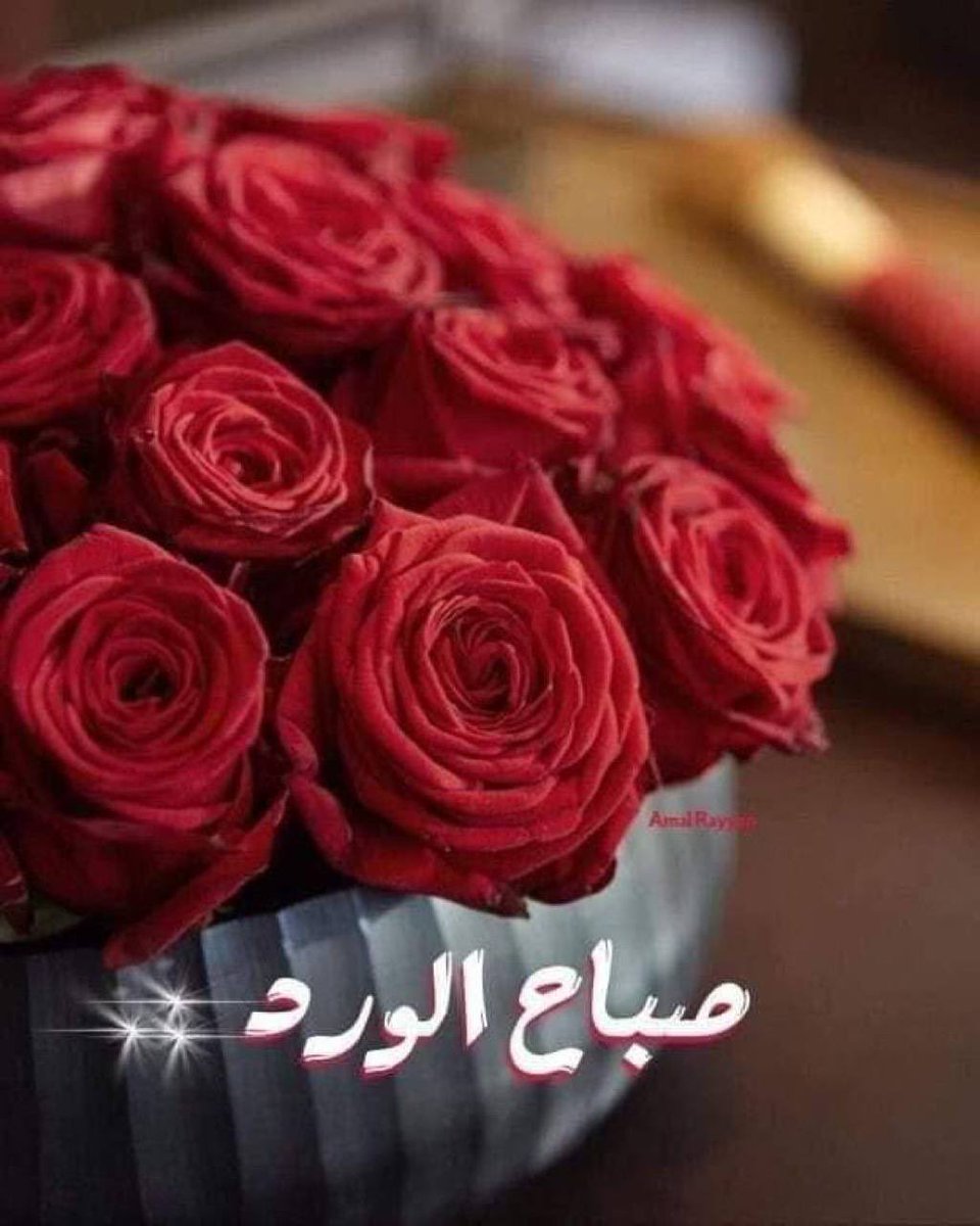 M__F___M's tweet image. أنتي أكبر فاتنه بـ وجه القصيد 
مخمليـه راهيـه زيـن وتـرف

أنتي أجمل بنت بالجيل الجديد
أي شـاعر لو يشوفك ينحرف