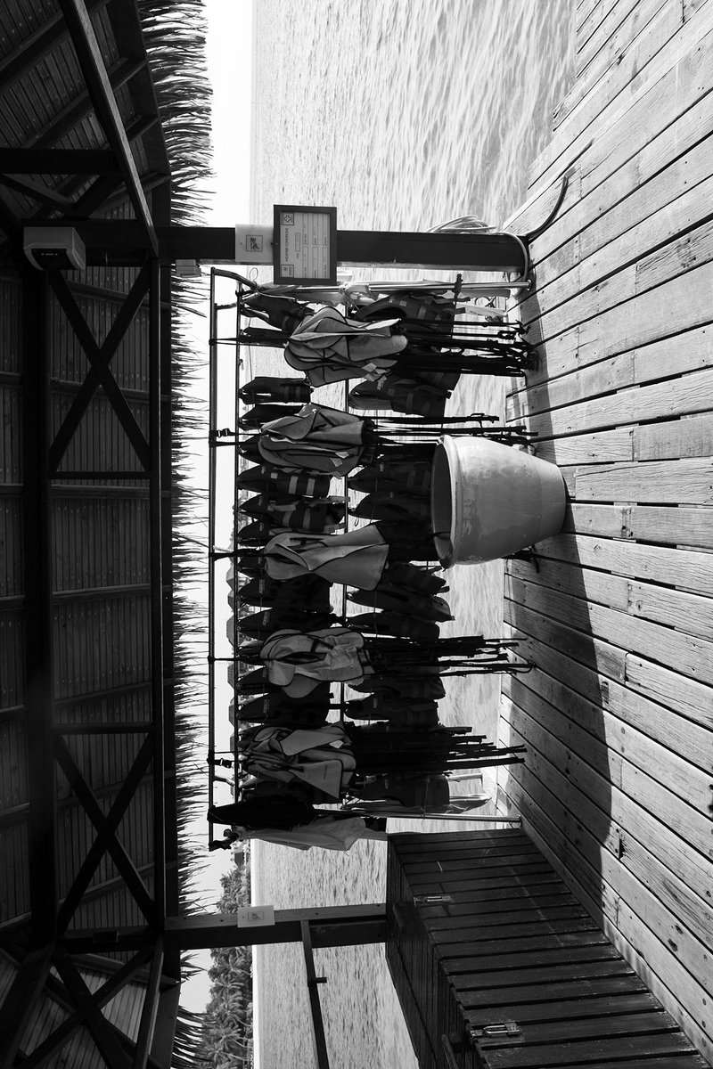 ThisIslandLife tweet media