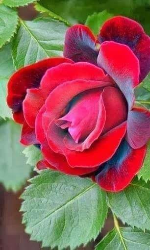 M__F___M's tweet image. ليتك " تمهّلتي " البارح وفكرتي 
ولا تسرعتي بمنطوقك الجارح

انتي على طول نمتي يوم سكرتي
وانا على جلستي هذي من البارح!