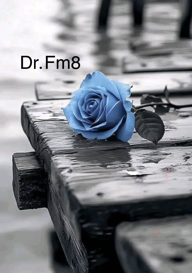 أحسن الظن بالله ..!

قيل معنى ((أنا عند ظن عبدي بي)) :
"ظنُّ الإجابة =عند الدُّعاء،
وظنُّ القبول =عند التَّوبة،
وظنُّ المغفرة =عند الاستغفار،
وظنُّ المجازاة =عند فعل العبادة".

طبتم وطااااب صباحكم 😊
 #عودا_حميدا