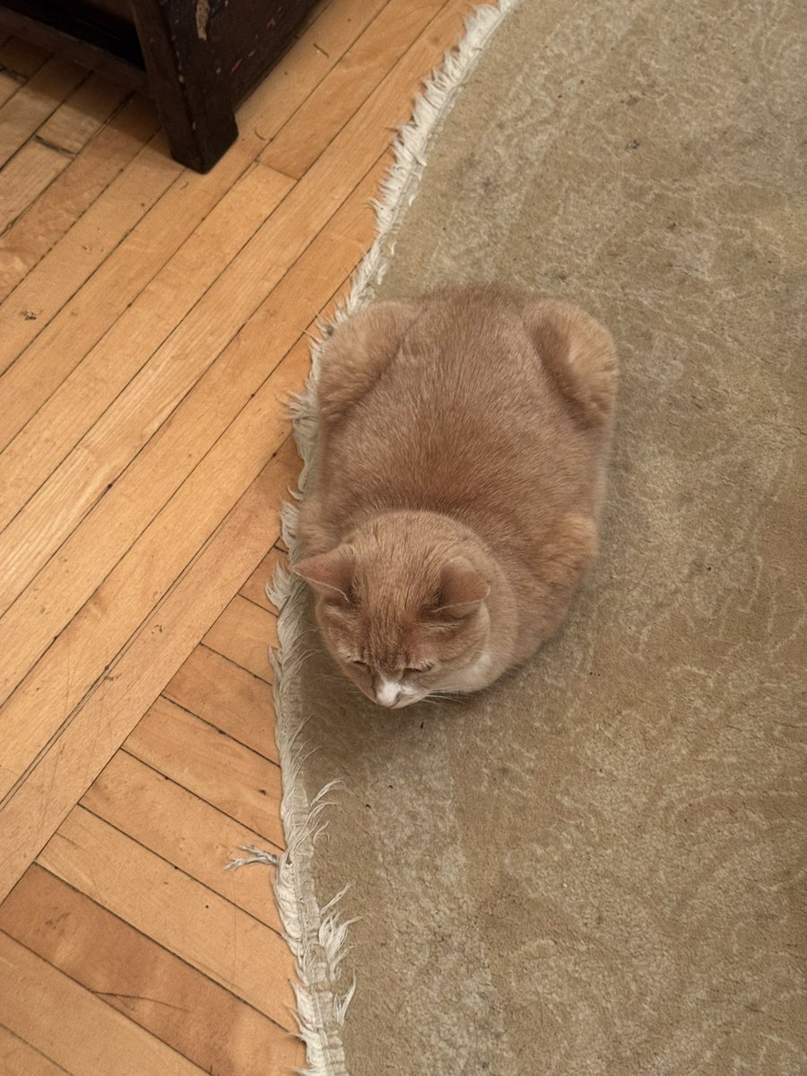 君は…地政学的に全く意味をなさないそんなところでいったい何をしてるんだい？