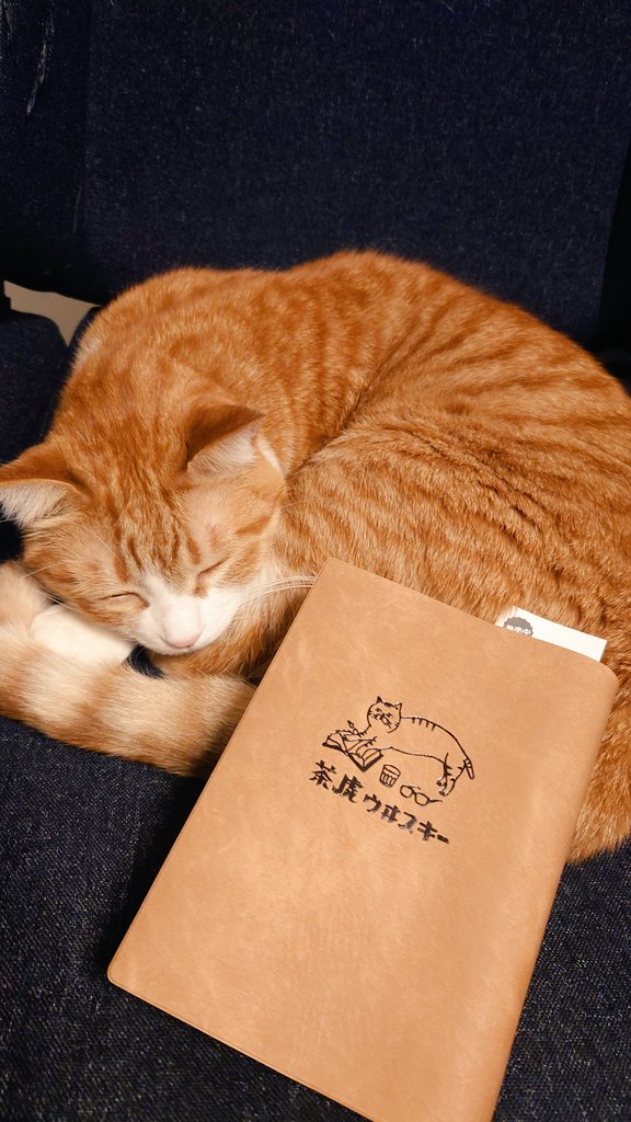 読書のお供に“茶虎ウヰスキー”