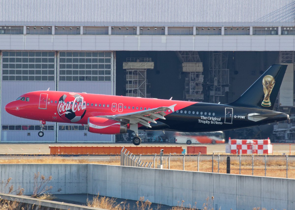 てつもん 写真館 tweet media