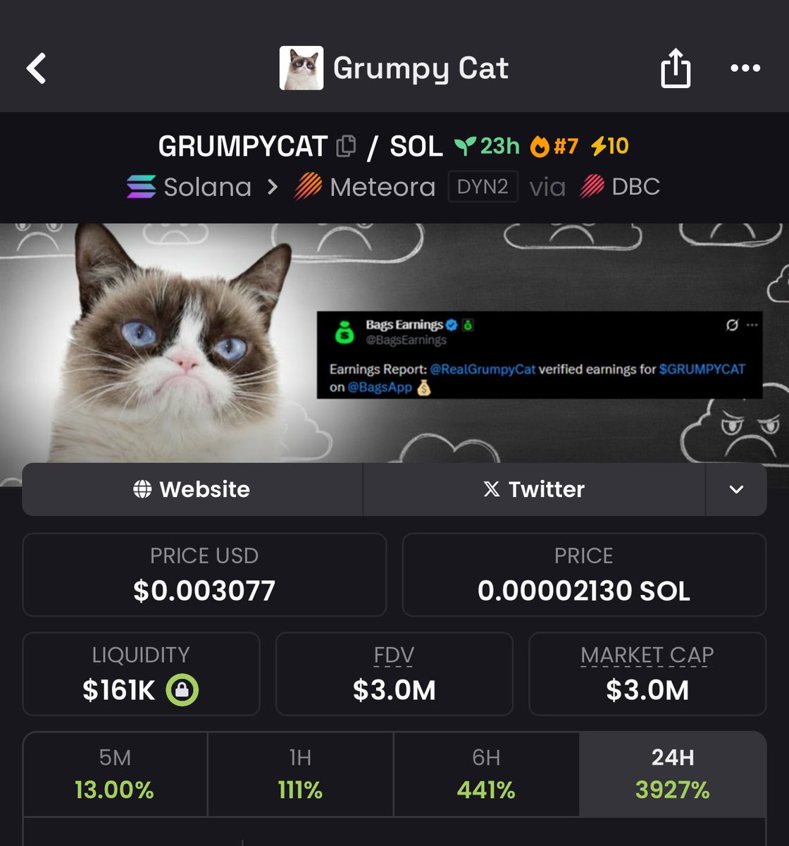 bleshgod's tweet photo. you don’t often see the memecoin of the biggest cat meme of all time being run with the owner onboard fully supporting it https://t.co/RFifrwkwSo