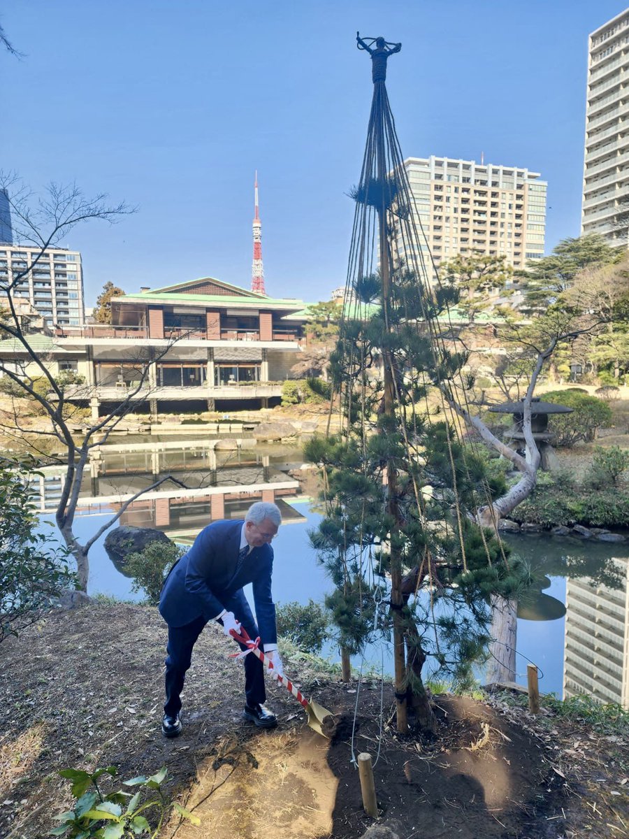 ItalyinJPN's tweet image. In occasione della visita del Primo Ministro Giorgia Meloni abbiamo piantato nel giardino dell'Ambasciata un pino rosso, simbolo di un'amicizia di 160 anni. Grazie a Altagamma per aver sostenuto questa significativa iniziativa!