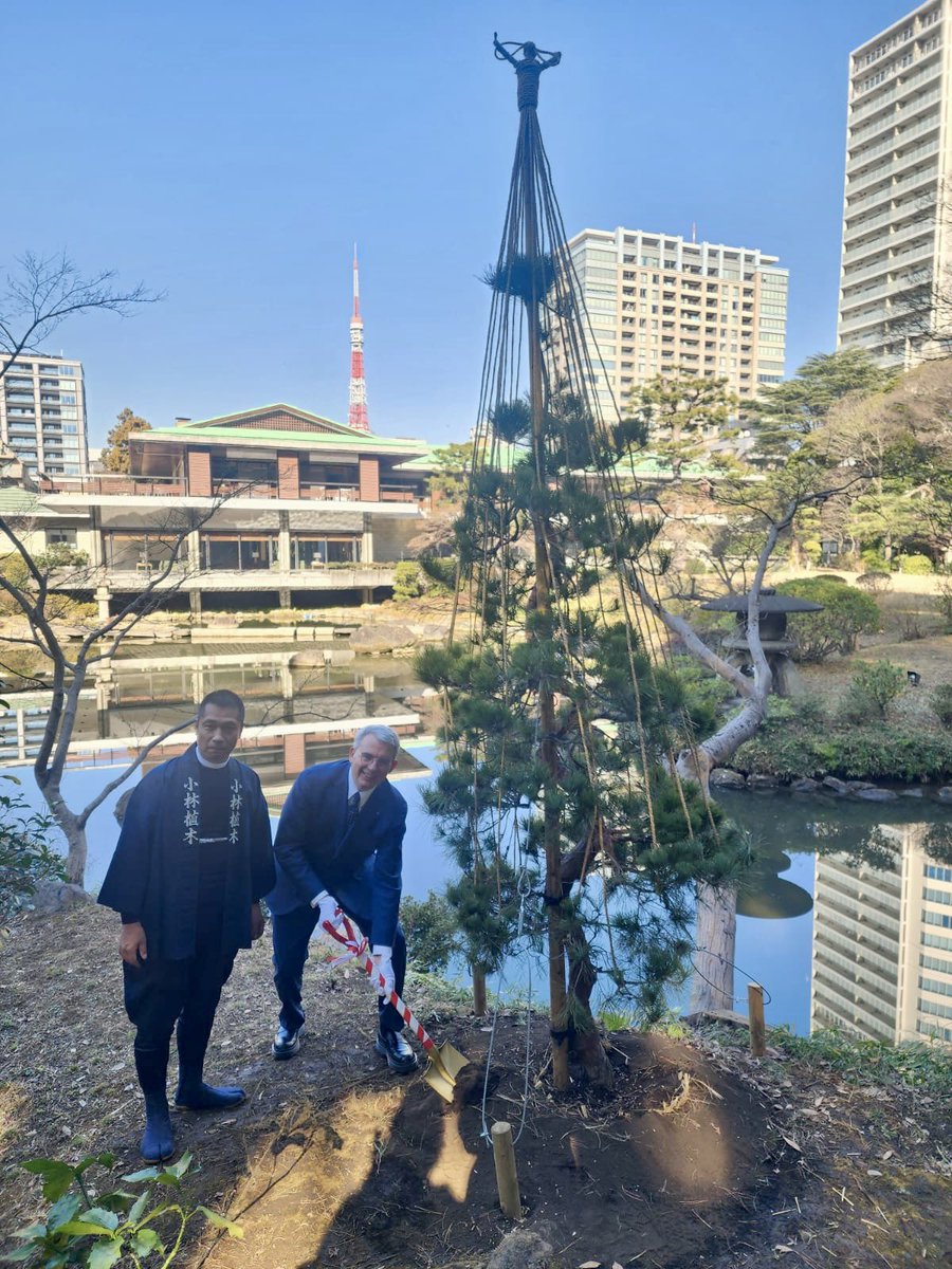ItalyinJPN's tweet image. In occasione della visita del Primo Ministro Giorgia Meloni abbiamo piantato nel giardino dell'Ambasciata un pino rosso, simbolo di un'amicizia di 160 anni. Grazie a Altagamma per aver sostenuto questa significativa iniziativa!