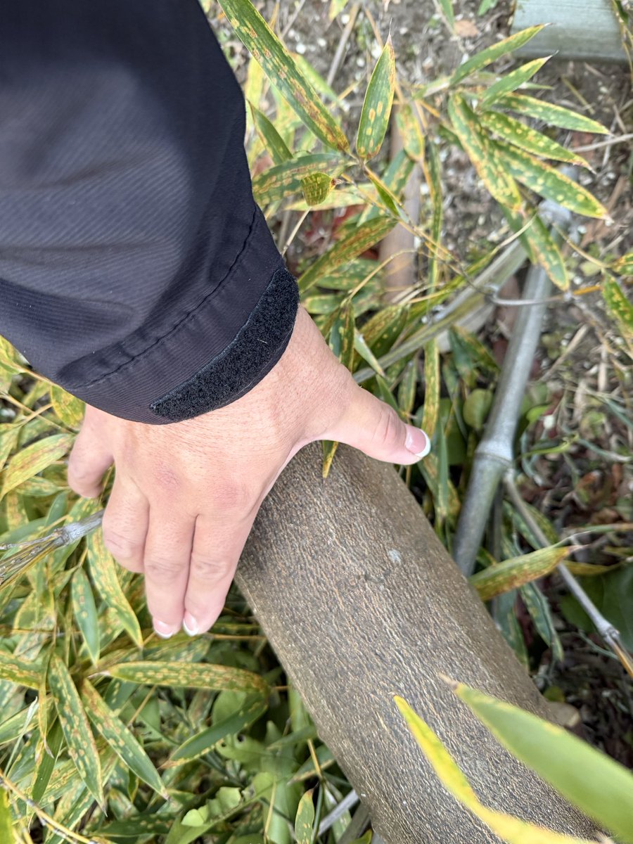 マキタ (@makita_jp_) / Posts and Replies / X