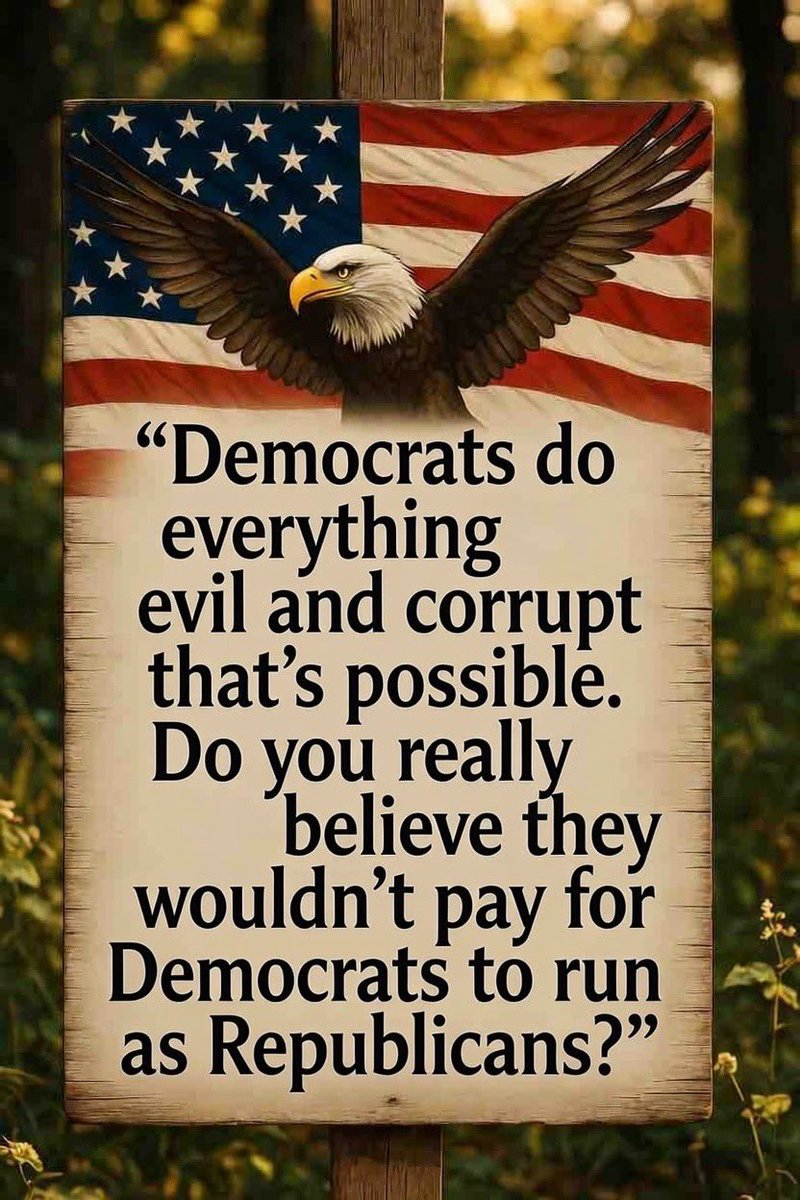 SpiritChaser MAGA 🇺🇸❤️ tweet media