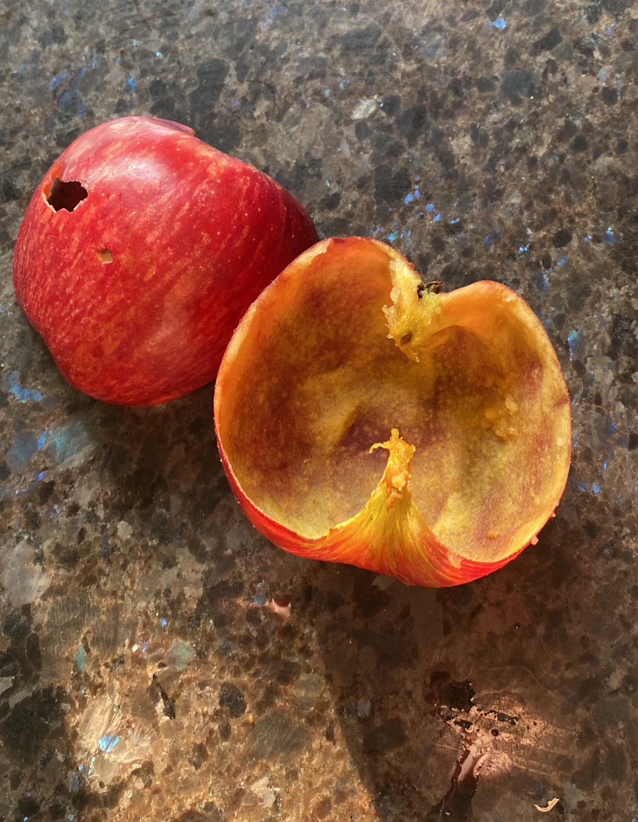 urfaveniggee's tweet image. I Just wanted to let Y’all know that I ate an apple today