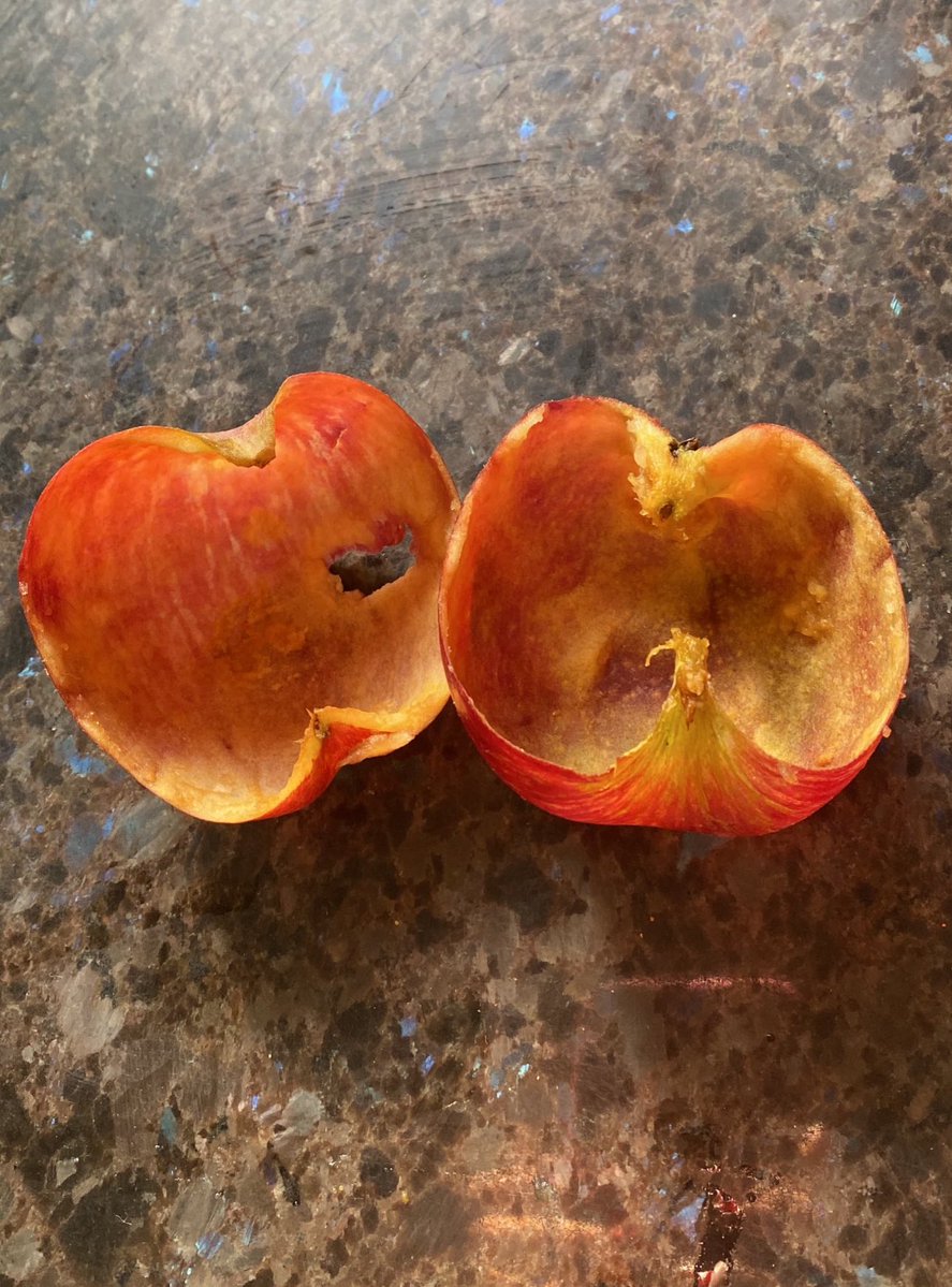 urfaveniggee's tweet image. I Just wanted to let Y’all know that I ate an apple today