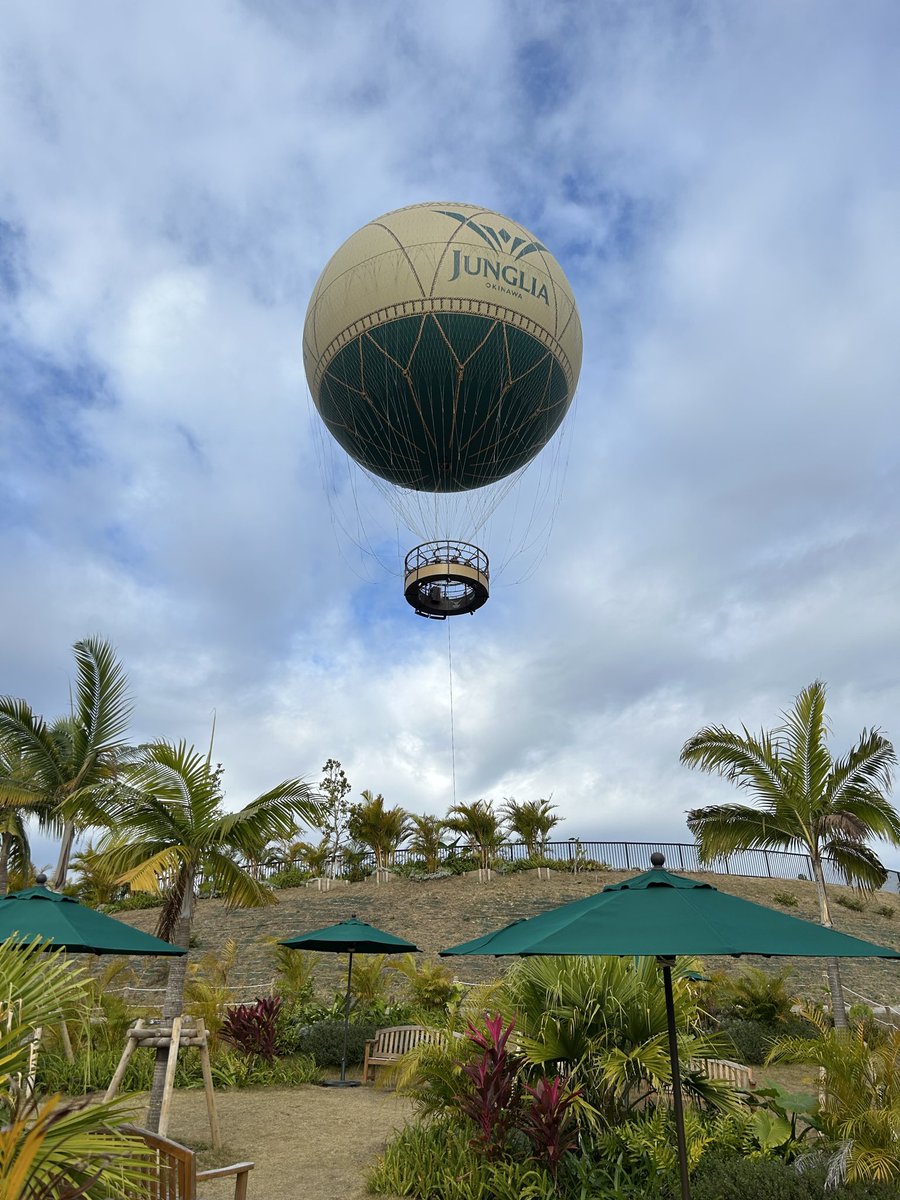 Image for the Tweet beginning: 酷評されている某テーマパークに行ってきました🦖🦕

すごく楽しかった🥹💕
スタッフさんが素晴らしい👏

若い頃はディズニーダンサーを目指していたので、ダンサーさんを見ると少し胸が痛い❤️‍🩹
私も踊りたーい😩

帰宅後、余韻に浸りつつ1時間だけ学習

学習232日目 1H (累計578H)

#デイトラ
#Web制作 