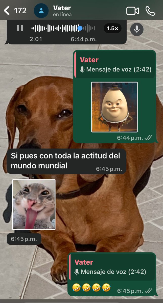 schul_zi's tweet image. jajajaja amo ver a mi papá utilizando mis stickers