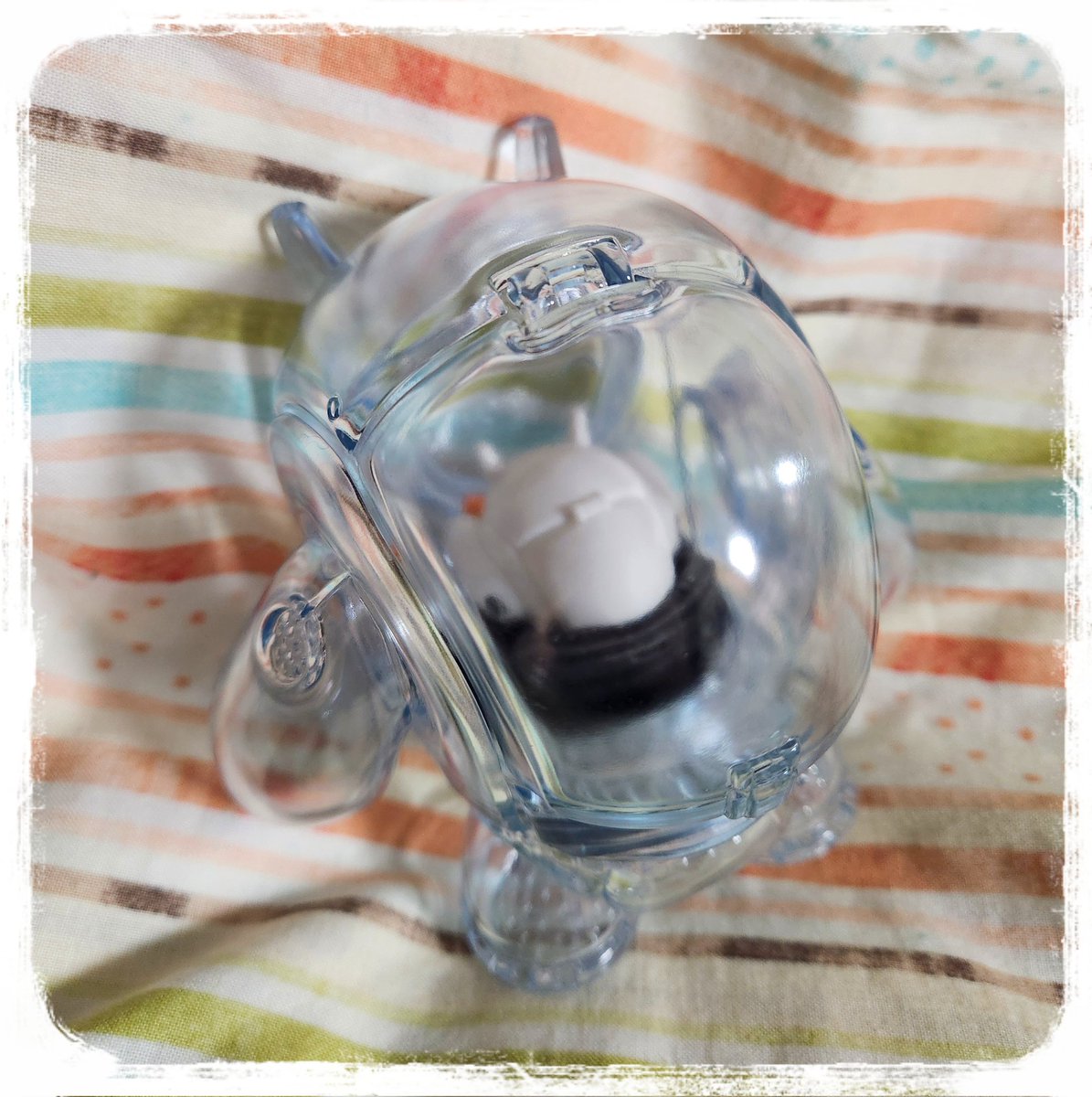 さいそう こおにボット2号 フルカラー 2号鉢(6cm) – KUROKO