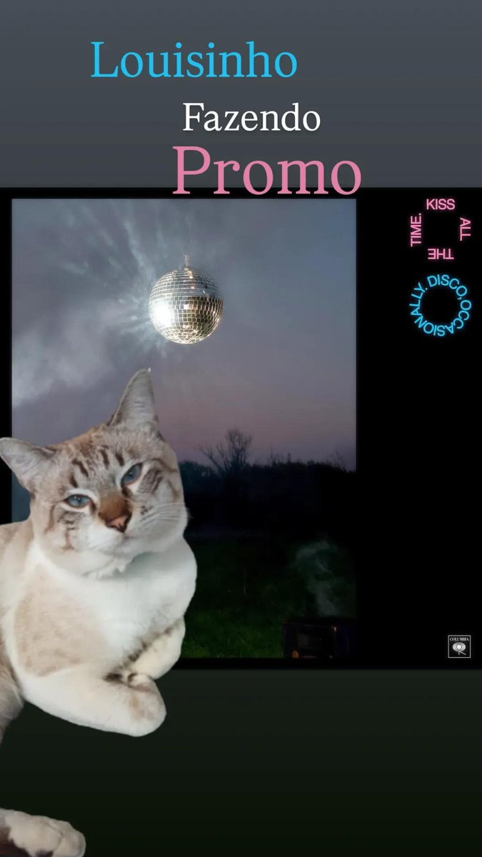 bracketlarry's tweet image. Meu filhote 🪩💙🩷🕺🏻