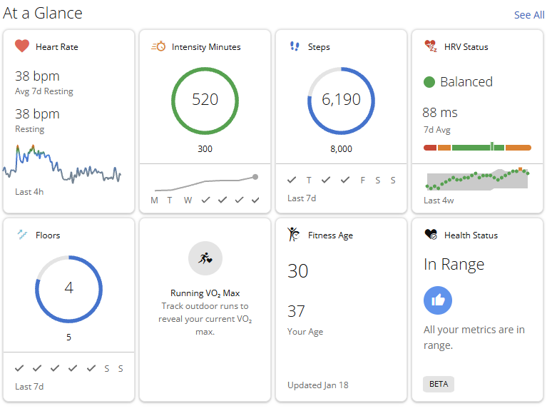 Baseline Garmin screenshot for Jan 18 2026. Will be interesting to pull this up next year to see further progress. 

500+ Intensity minutes each week, 8000+ steps per day, HRV at 88, Vo2 at 47, average resting heart rate at 38 and fitness age at 30 currently.