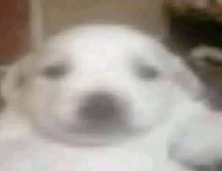 A veces olvido que Wario Man era un culiao desagradable y quejica y no solo el "Esta bonito" 😑