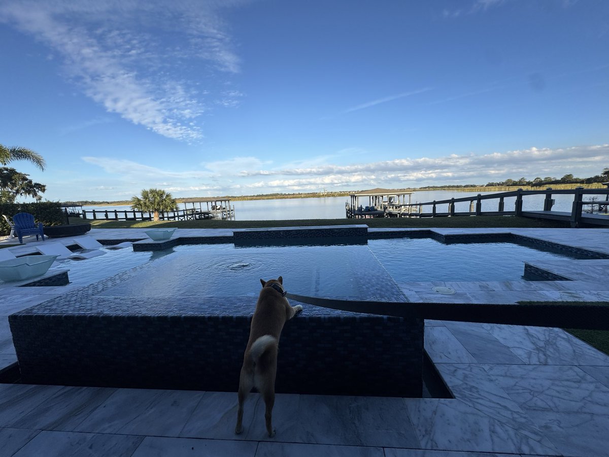 Bartsinger1's tweet photo. Warm in Florida! https://t.co/Oh8cKqy85h