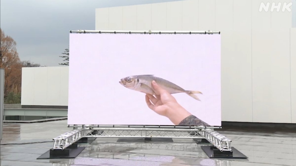 今夜の #アートシーン 特別編】#日曜美術館 「SIDE CORE Living road