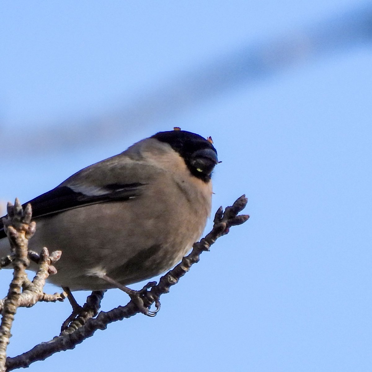 🫐

あたちもごはんのことかんがえてる

(食べカスまみれじゃん笑

#ウソ