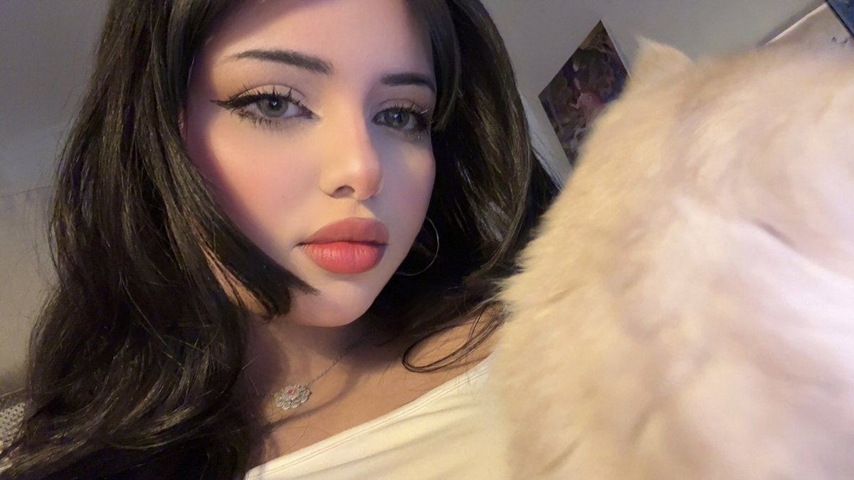 Shahrzad tweet media