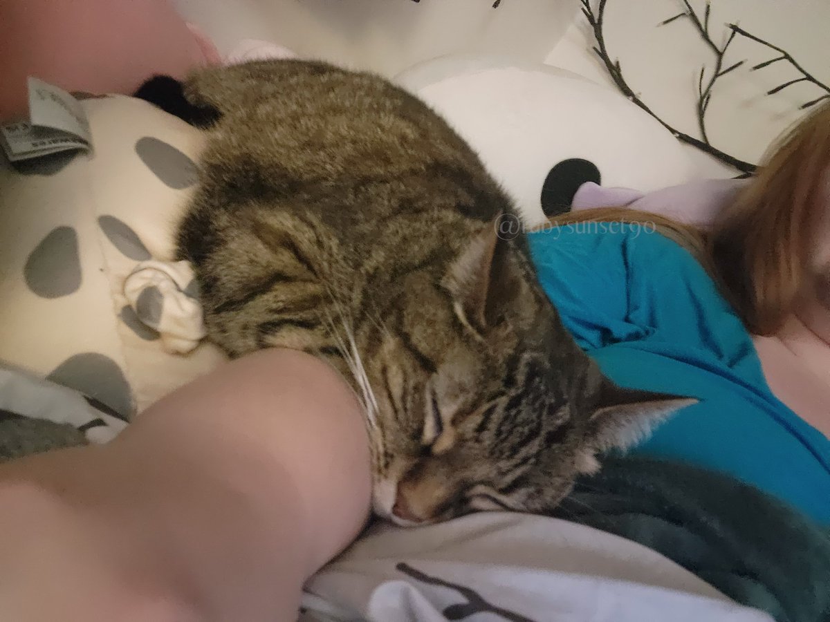 RubySunset5's tweet image. I won't be moving my arm for a while 🥹