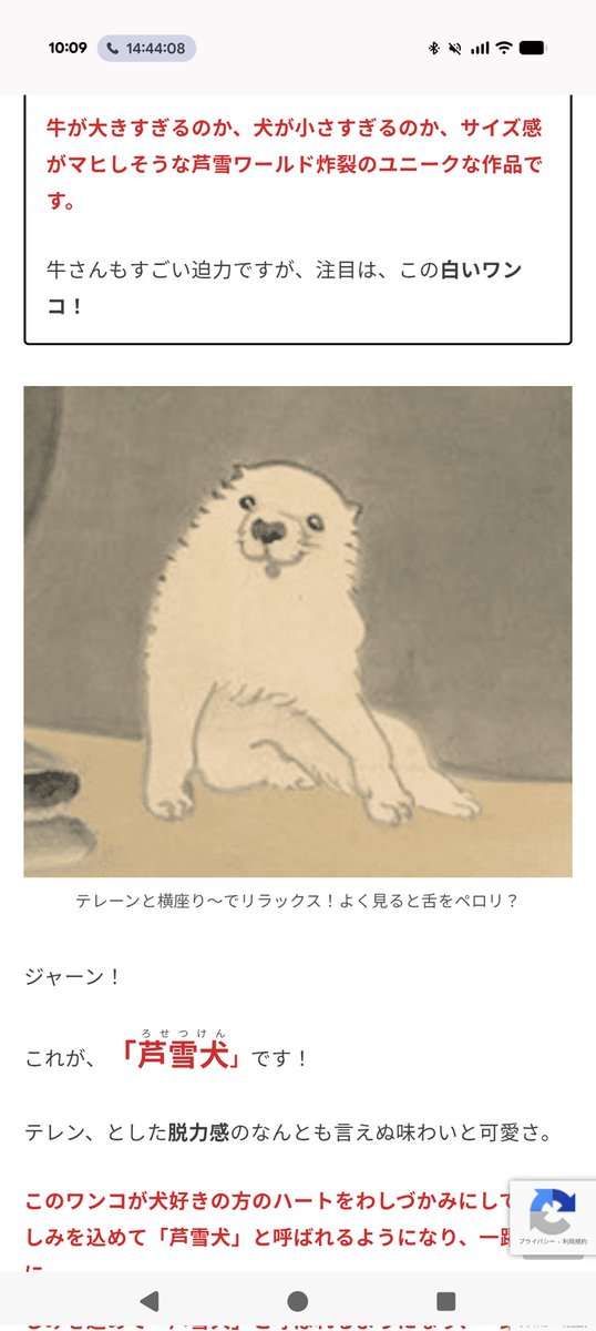 mayugeringo's tweet photo. https://t.co/OaaM0Qxemq