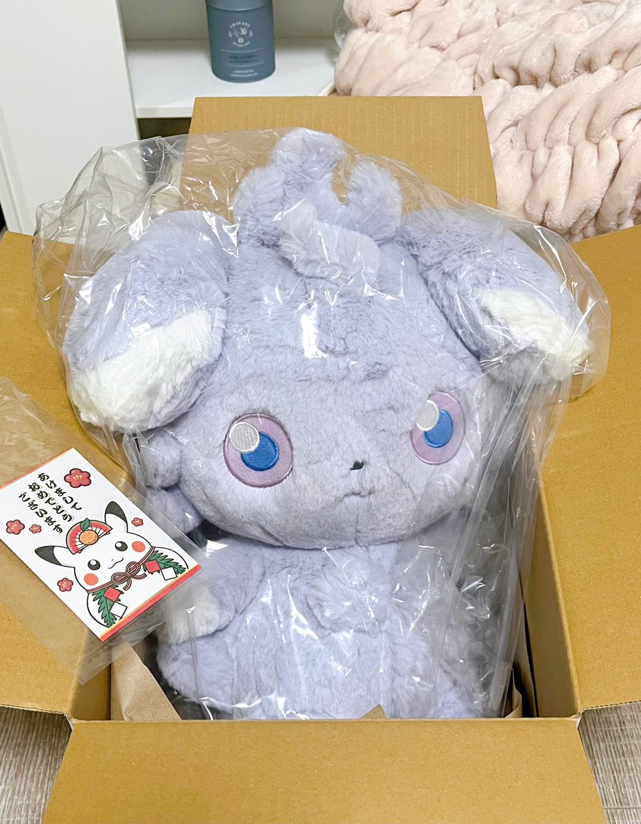 2026年1月17日(土)、#ポケモンセンター に｢ふわふわ抱きぬいぐるみ