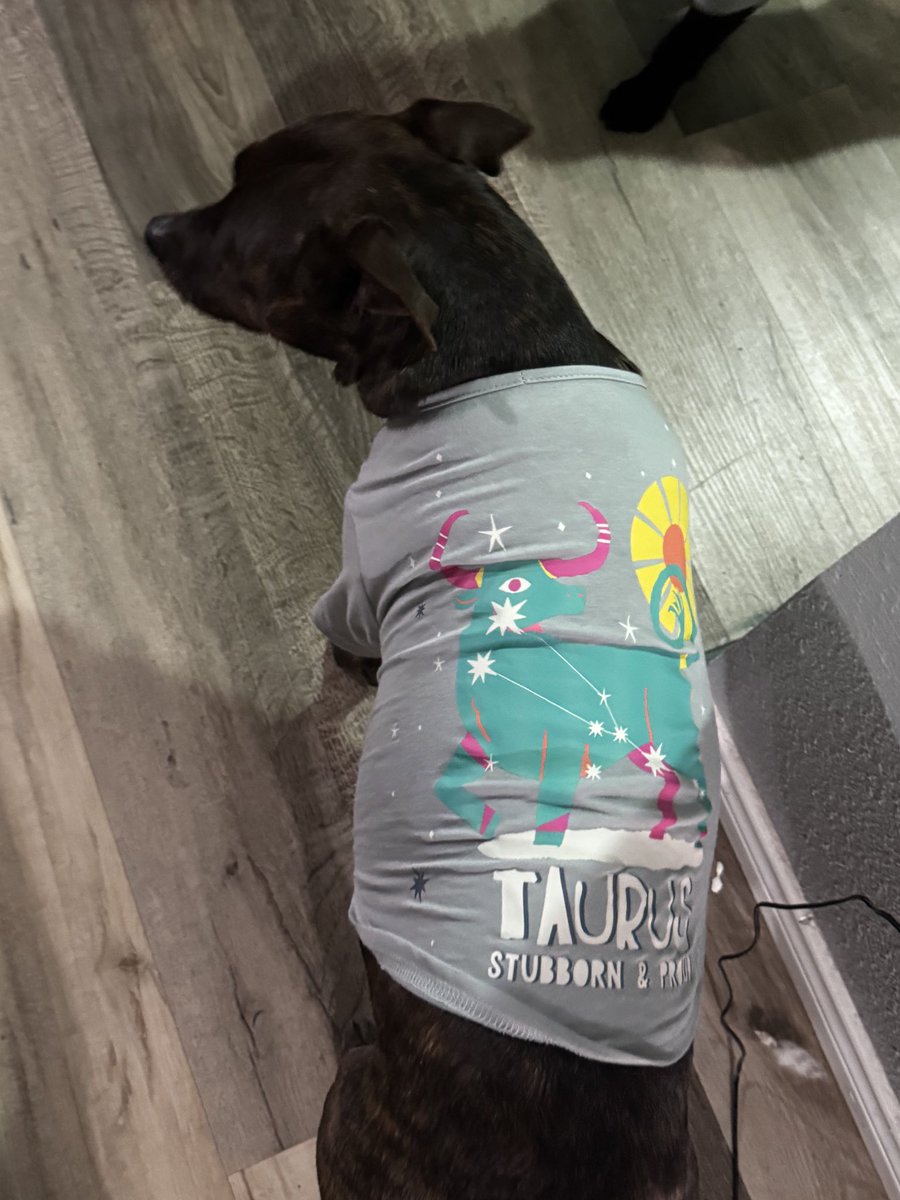 basically a frog tweet media