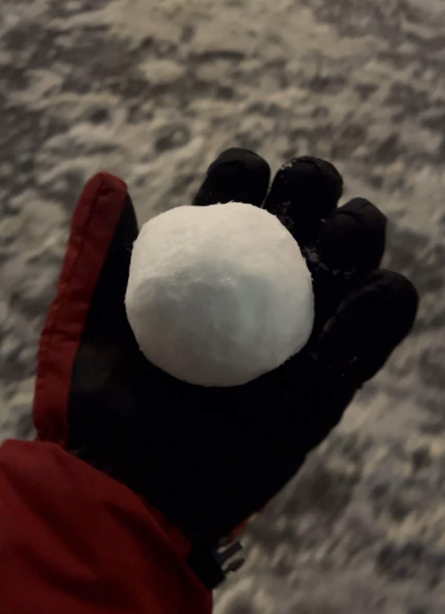 Nathan Ginsburg :) tweet media