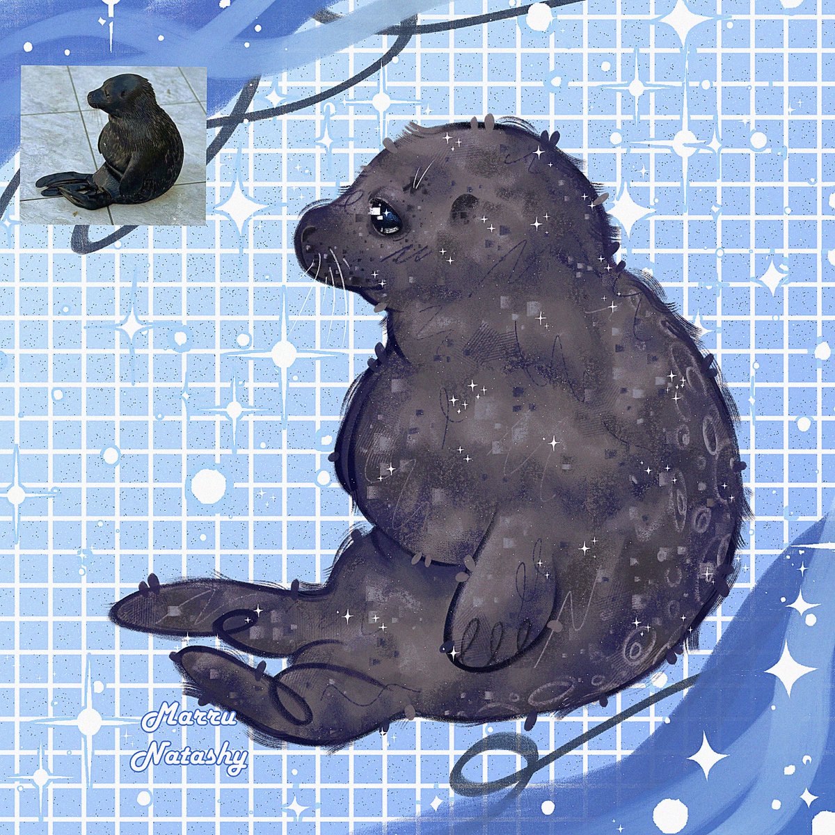 🦭🩵🪑
#sealtwt