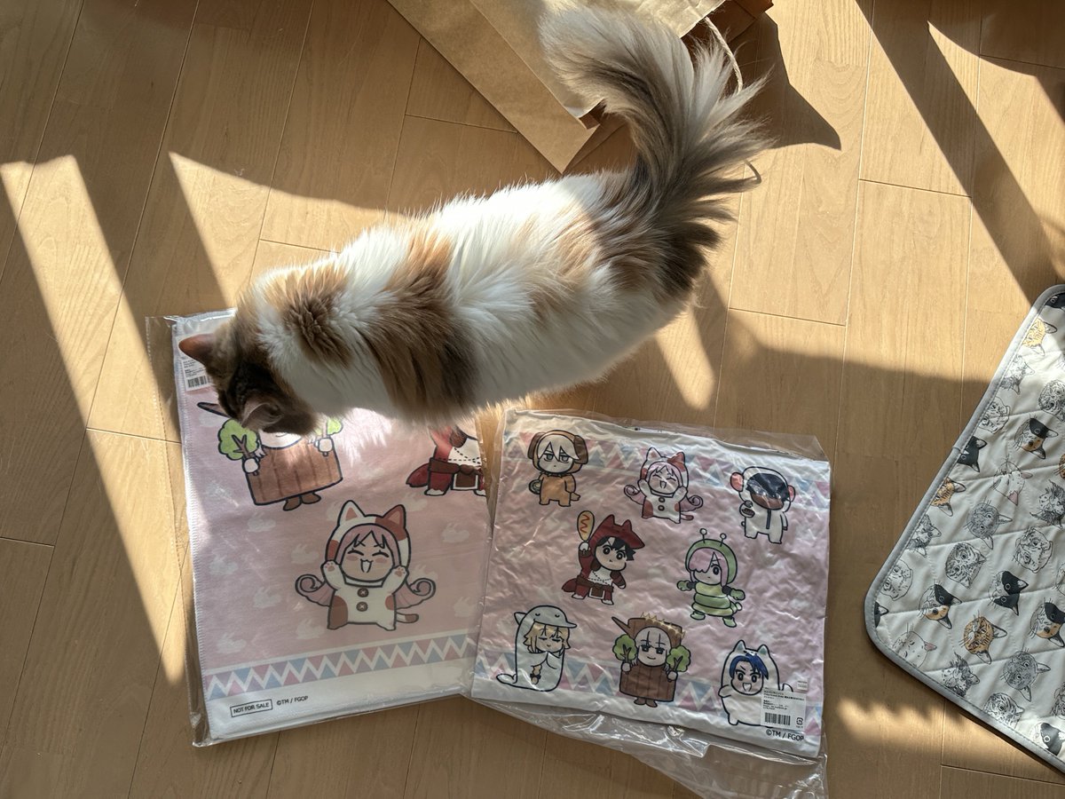 こちらのガチャの当選品が昨日到着…したら抽選で当たるBIGタオルまで