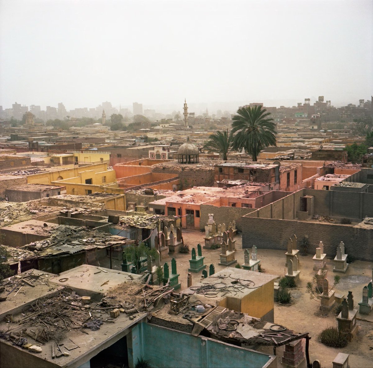 What’s more embarrassing as a “modern Egyptian” Muslim. That you have absolutely no relation to the ancient Egyptians? or that claiming you do means you’re responsible for turning a country with a ‘Wonder of The World’ into a Call of Duty map??? 🤕🤕