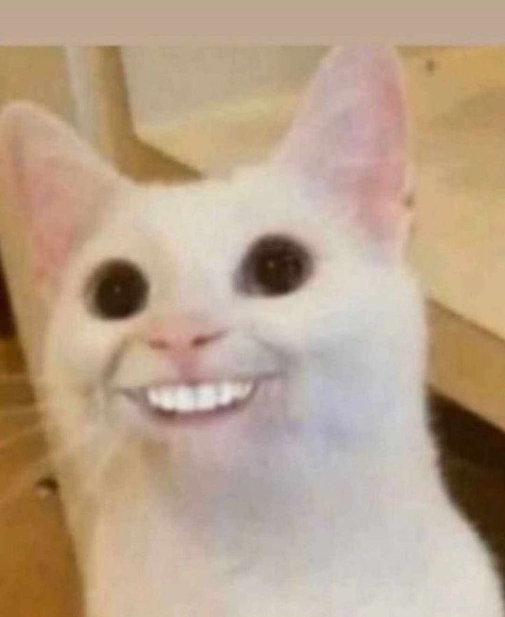 เรื่องจริงหรือจ้อจี้คะคุณพี่คือเอาจริงๆใช่มั้ยหรืออะไร