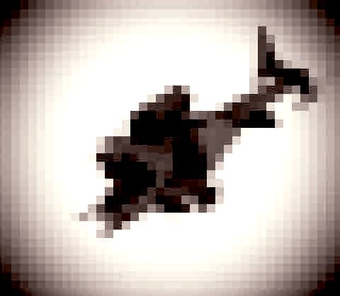 Syphotic tweet media