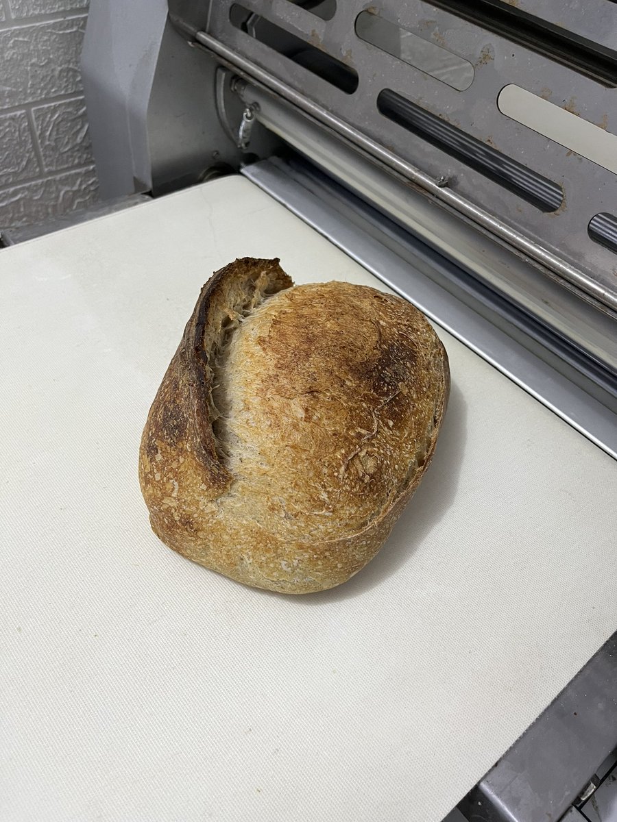 vadaang's tweet image. 4 tahun latihan