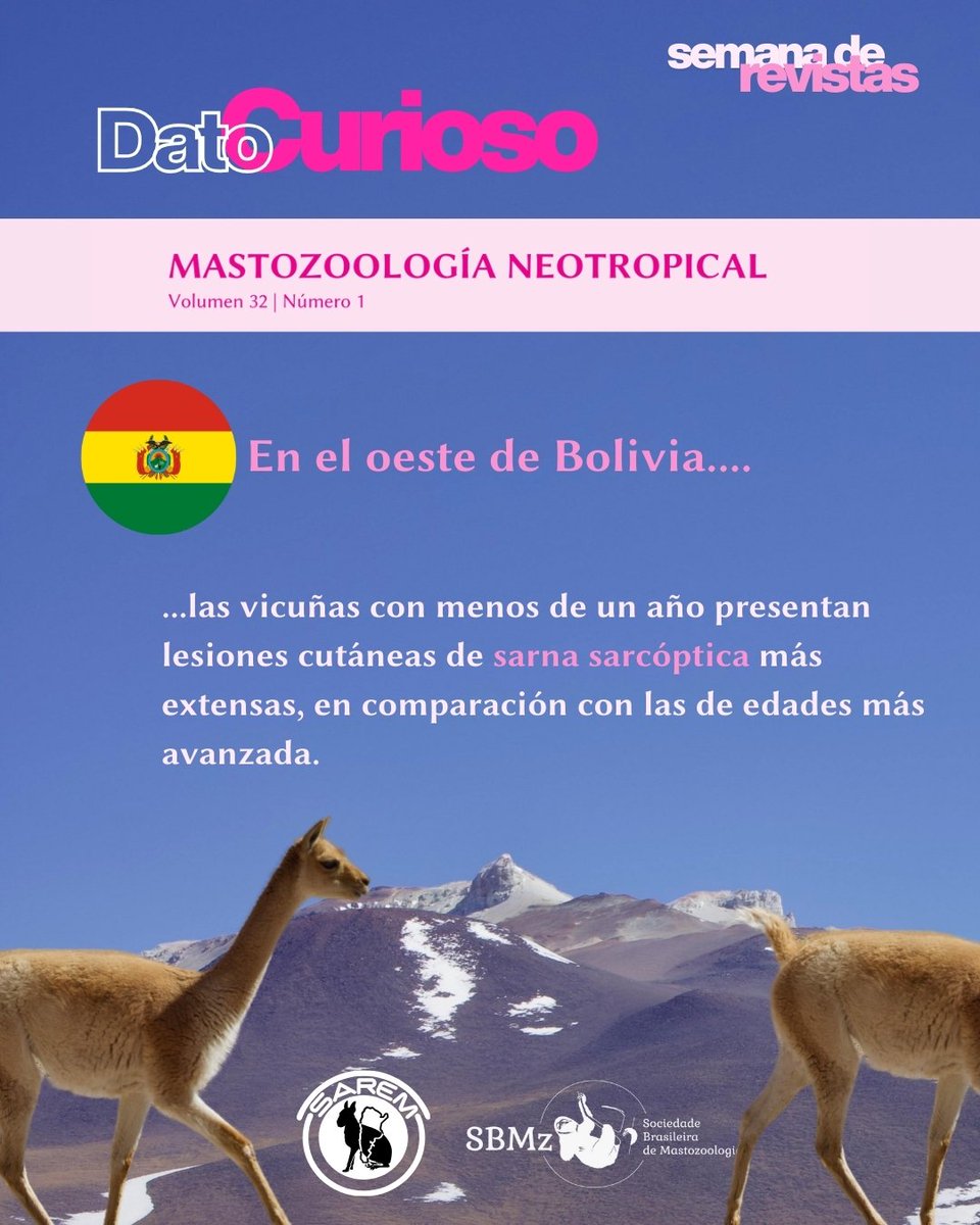 Mastozoologia Neotropical tweet media