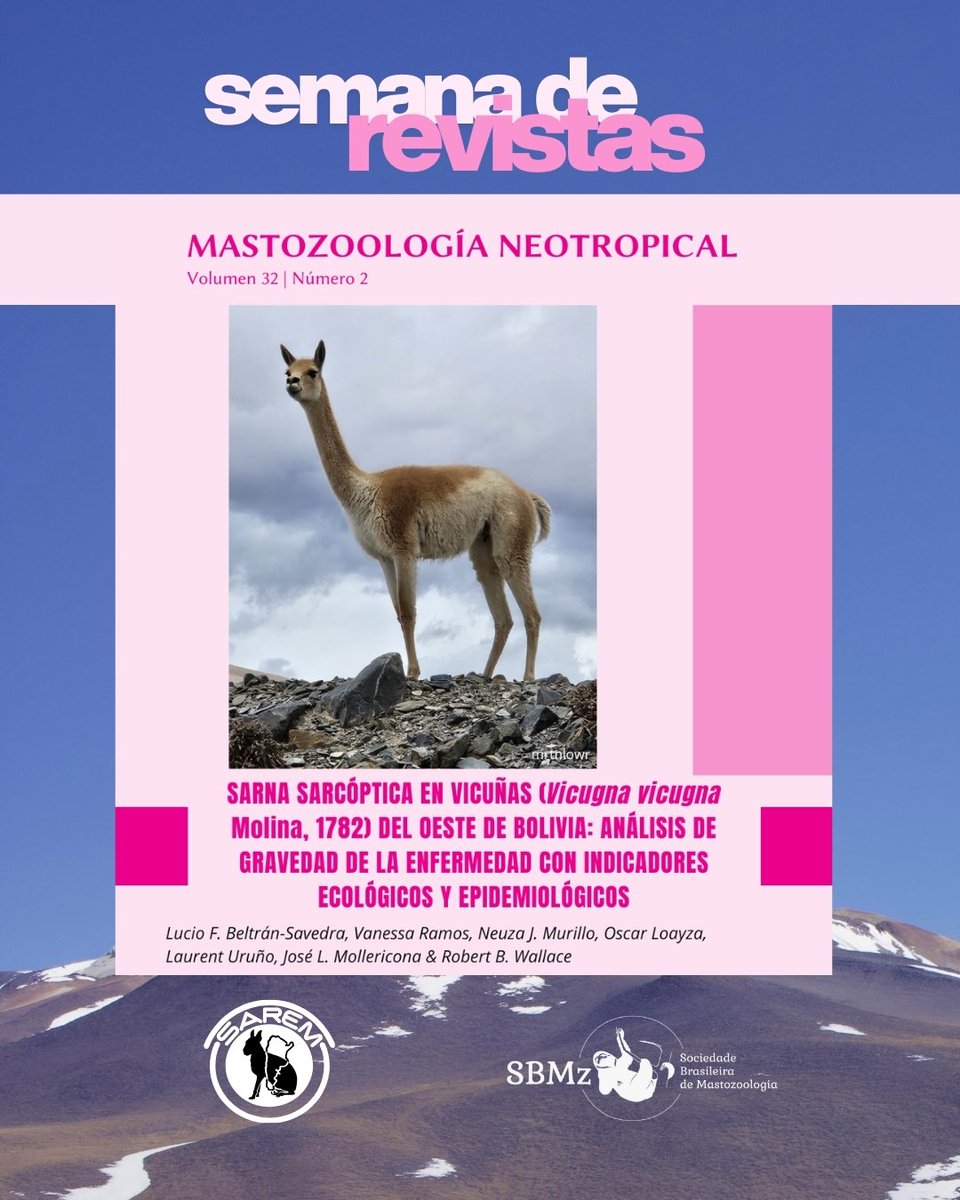 Mastozoologia Neotropical tweet media