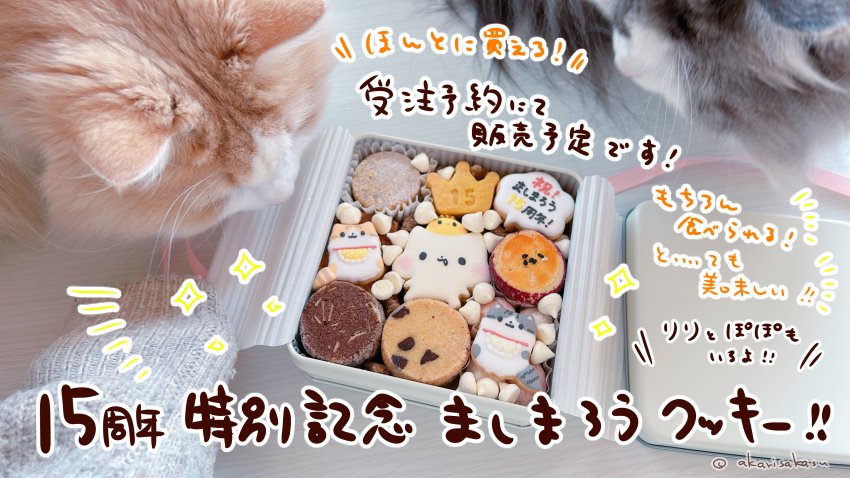15周年特別記念ましまろうクッキー！！販売について！」🍪🍪🍪 長く