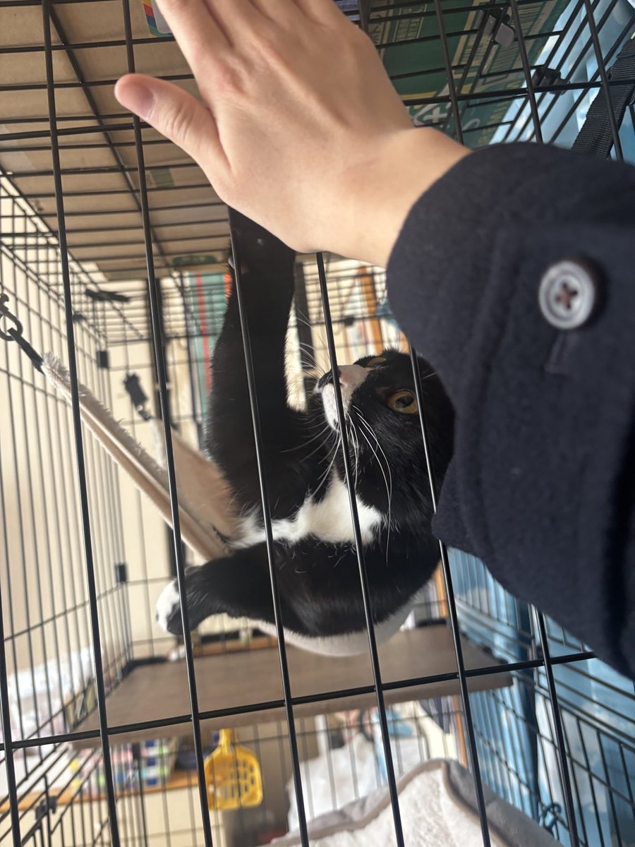 カルピス (@wCbUOxtqhAMST5G) / Posts / X