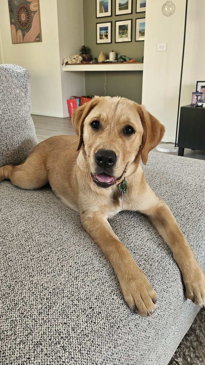 Ed Pascoe tweet media